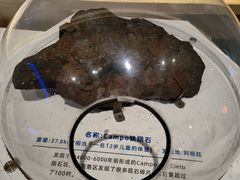 -正佳自然科学博物馆