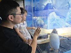 -重庆欢乐海底世界