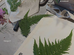 -自由生长植物工作室(深港花卉中心店)