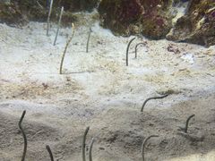 -鹿儿岛水族馆