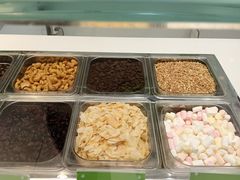 -Salud撒露欧洲冻酸奶(蓝色港湾店)