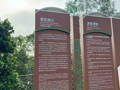 -东寨港红树林旅游区