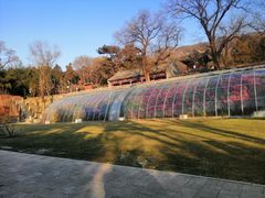 -红螺寺