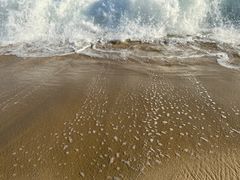 -玫瑰海岸文化旅游度假区