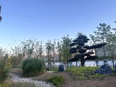 -滴水湖
