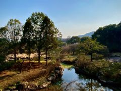 -杭州植物园