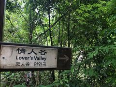 -石台牯牛降景区