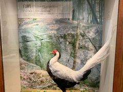 -广东省方志馆