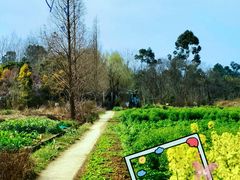 -白鹭湾湿地公园