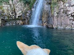 -宁波五龙潭景区