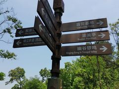 -铁山坪森林公园