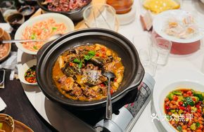 Ganpo Softshell Turtle