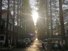 -茅庐毛血旺(临沂泰盛广场店)