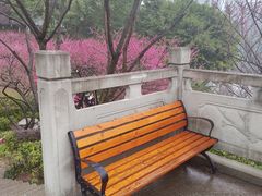 -重庆彩云湖湿地公园