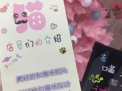 -三花喵·撸猫购宠·宠物生活馆(虹桥南丰城店)