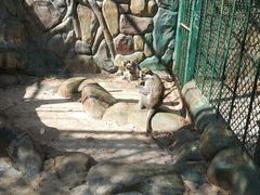 -泉州海丝野生动物世界