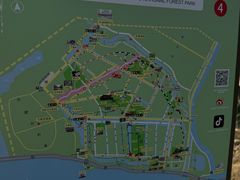 -合肥滨湖国家森林公园