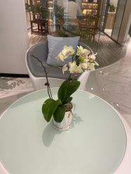 -AiCure 埃可儿·韩国医学皮肤管理