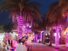 -三亚海昌梦幻海洋不夜城