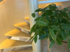 -泰合玺·精油疗愈 SPA(南京河西万达店)