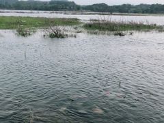 -十三陵水库