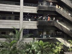 -黑龙江中医药大学附属第一医院