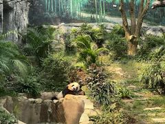 -石排湾郊野公园