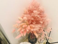 -紫御国际抗衰ZOE ANTI AGING