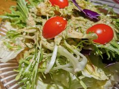 蔬菜沙拉-谢蟹浓·肉蟹煲(新奥店)