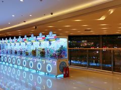 -汤姆熊欢乐世界(大连恒隆广场店)