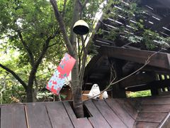 -三圣花乡旅游区