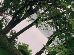 -海珠湖公园