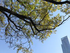 -四川大学(望江校区)