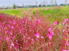 -汉长安城未央宫国家考古遗址公园