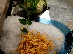 -探窝·竹笙椰子鸡(杨箕店)