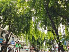 -许佳后安粉汤店
