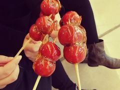 -小大董·烤鸭(凤凰汇店)