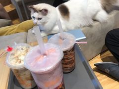 -啵啵喵·猫咖(攀华国际店)