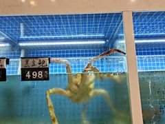 -金龙·打边炉(南京西路店)