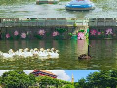 -广州莲花山旅游区
