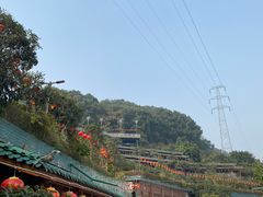 -枇杷园食为鲜火锅(南山店)