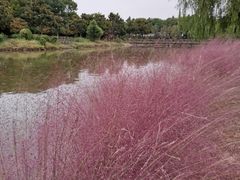 -上海鲜花港