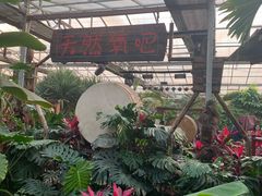 -呀路古热带植物园