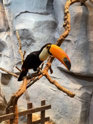 -Zoolung Zoolung动物主题公园(海信广场店)