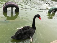 -无锡动物园·太湖欢乐园