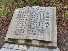 -茅兰沟国家森林公园