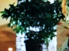 -棕南海水疗会所