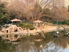 -红梅公园