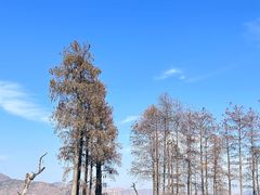-大理洱海