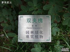 -广州神农草堂中医药博物馆